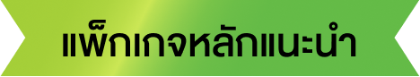 แพ็กเกจหลักแนะนำ