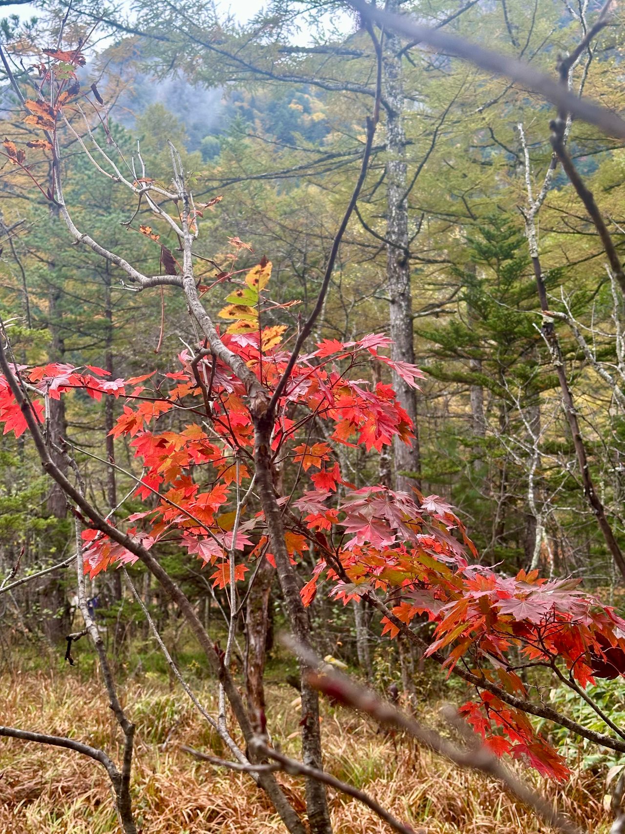 ดูพรีเมียร์ลีก 2025/26 กับ AIS PLAY และ MONOMAX ครบทุกแมตช์ในประเทศไทย