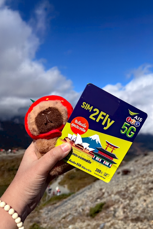 ดูพรีเมียร์ลีก 2025/26 กับ AIS PLAY และ MONOMAX ครบทุกแมตช์ในประเทศไทย