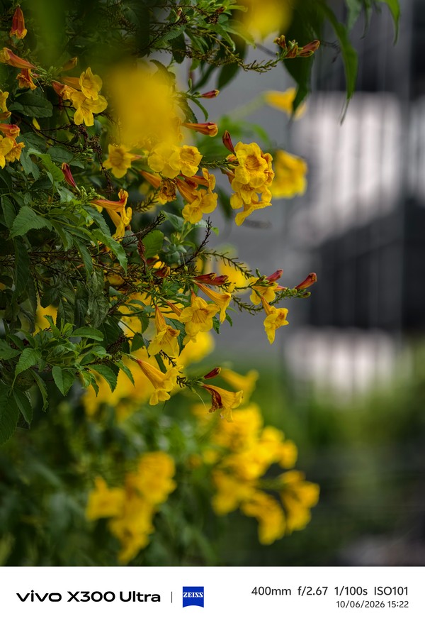 vivo-x300-ultra-400mm-bokeh-yellow-flowers