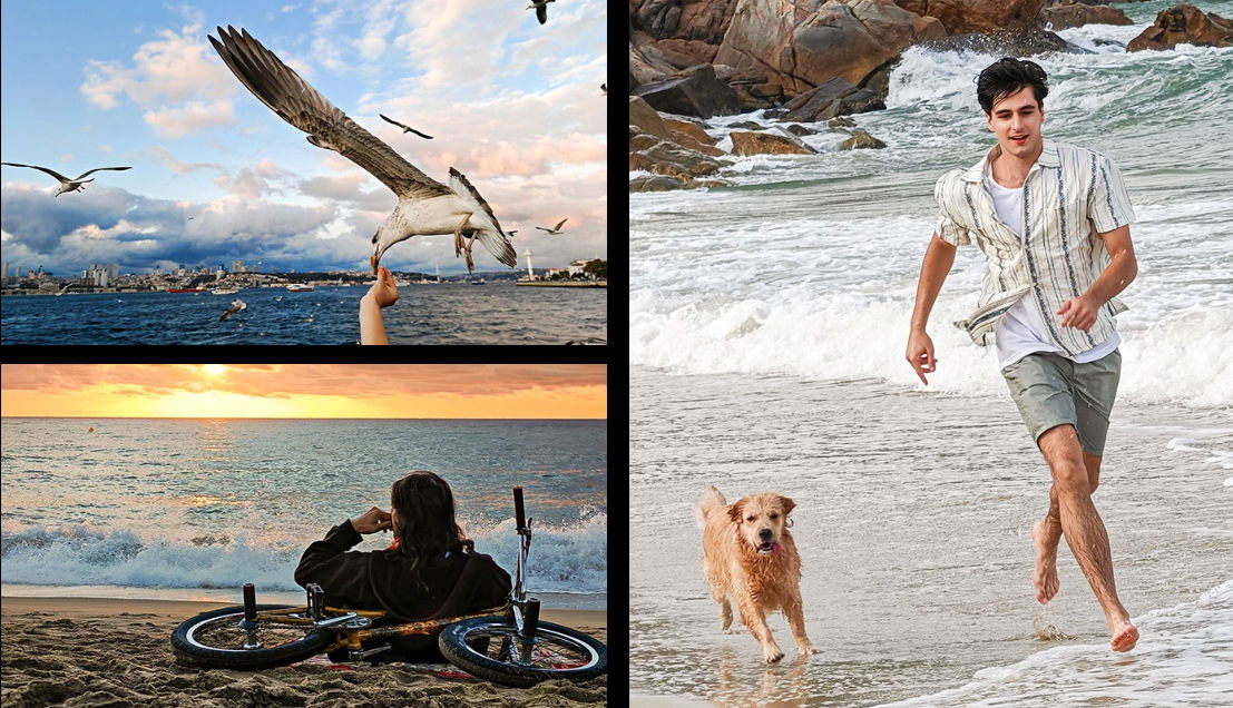 Super Dynamic HONOR Falcon Camera